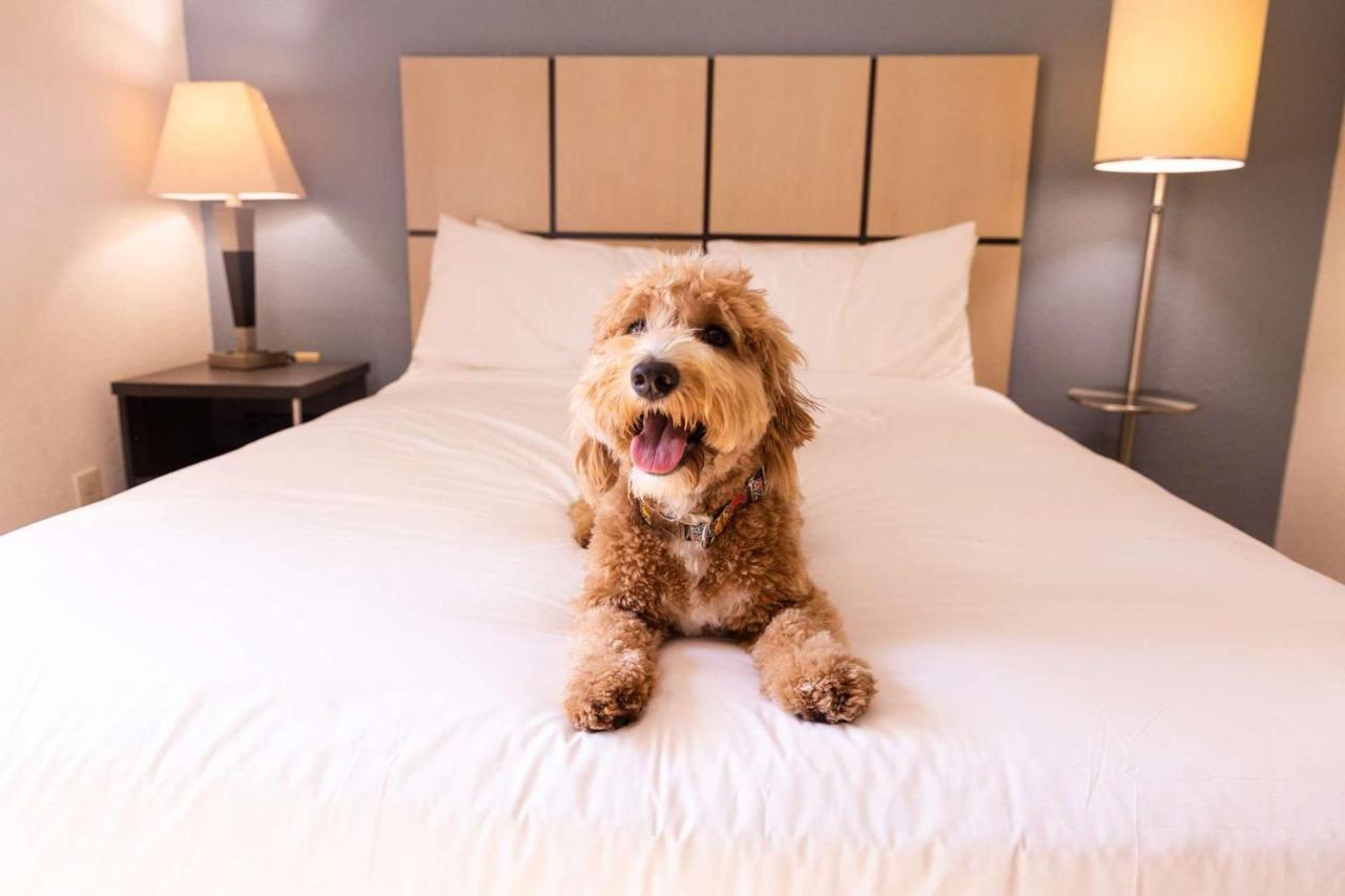 Sonesta Simply Suites Oklahoma City Airport Kültér fotó